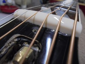 象牙キャンペーンの事みんな気づいてる！？｜ルシアー駒木のギターよもやま話 その62