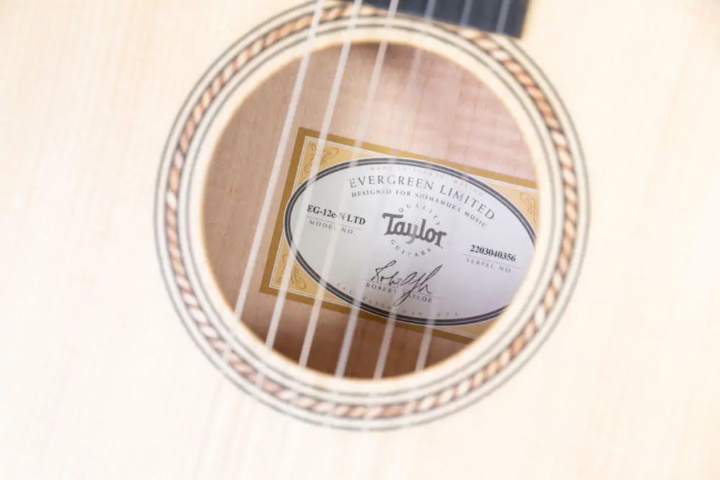 エレアコギター・エレガットギター】-Taylor- サステナブルな