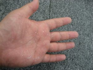 身も心もキラキラ｜ルシアー駒木のギターよもやま話 その2