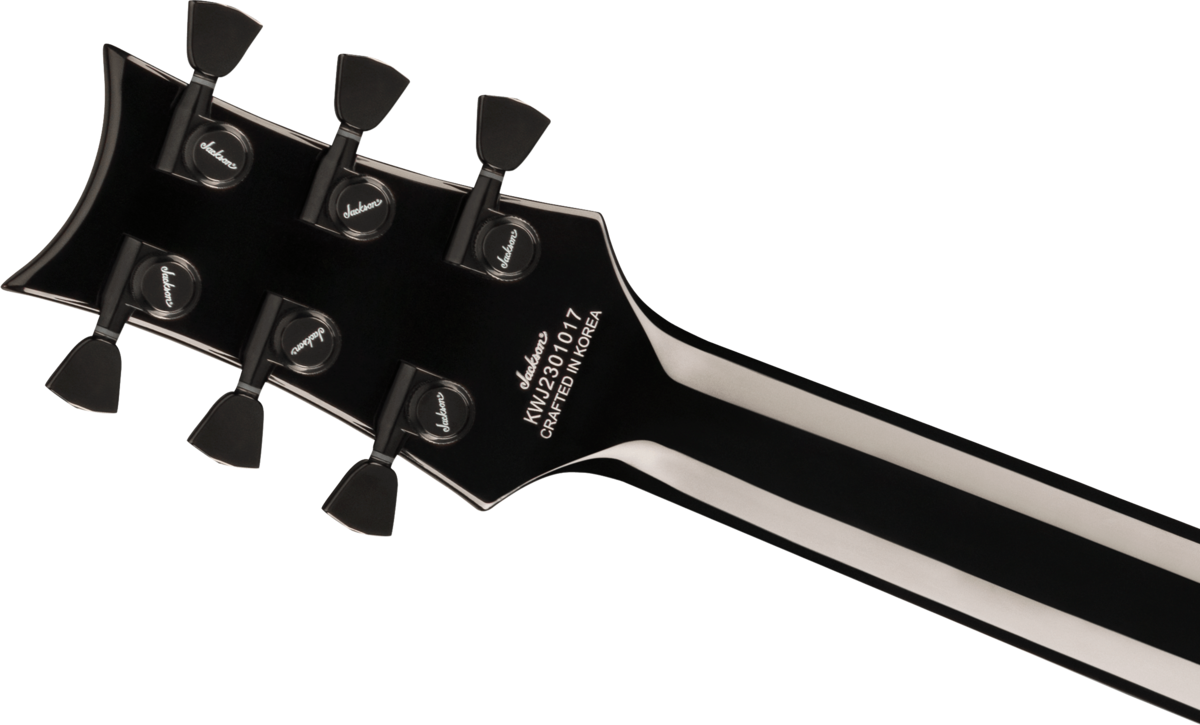 Roden エレキギター ブラック 416oD3aPNSL.jpg