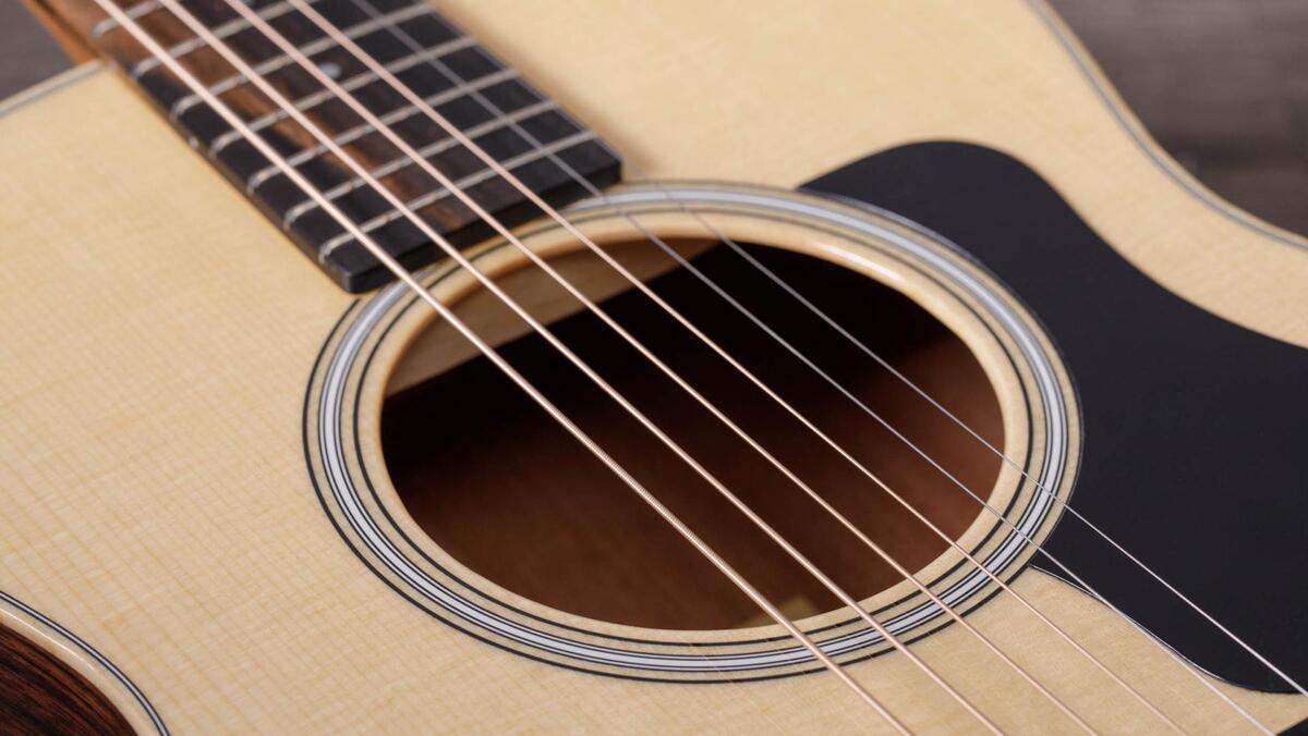 taylor-gs-mini-rw-plus-