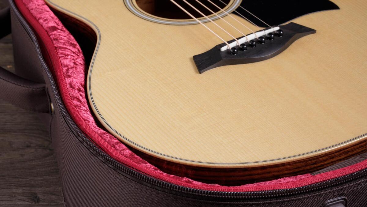 taylor-gs-mini-rw-plus- 