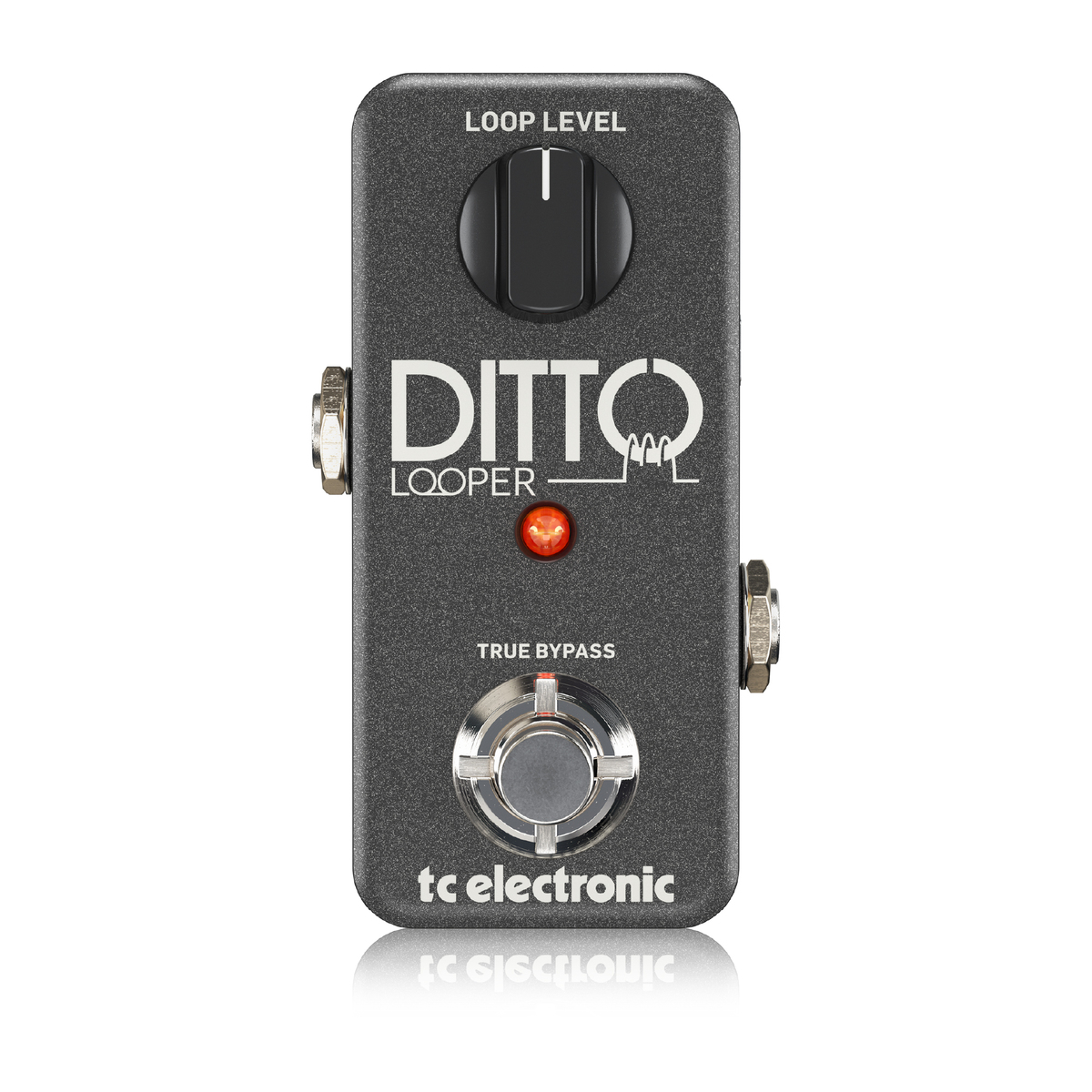 DITTO_LOOPER_img_01.jpg