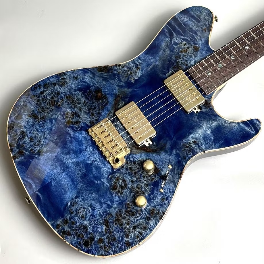 【8/19更新】あらゆるジャンルに対応可能　Sugi Guitars　DS496IR SL POP/FMAHO｜信州ギター祭り2025