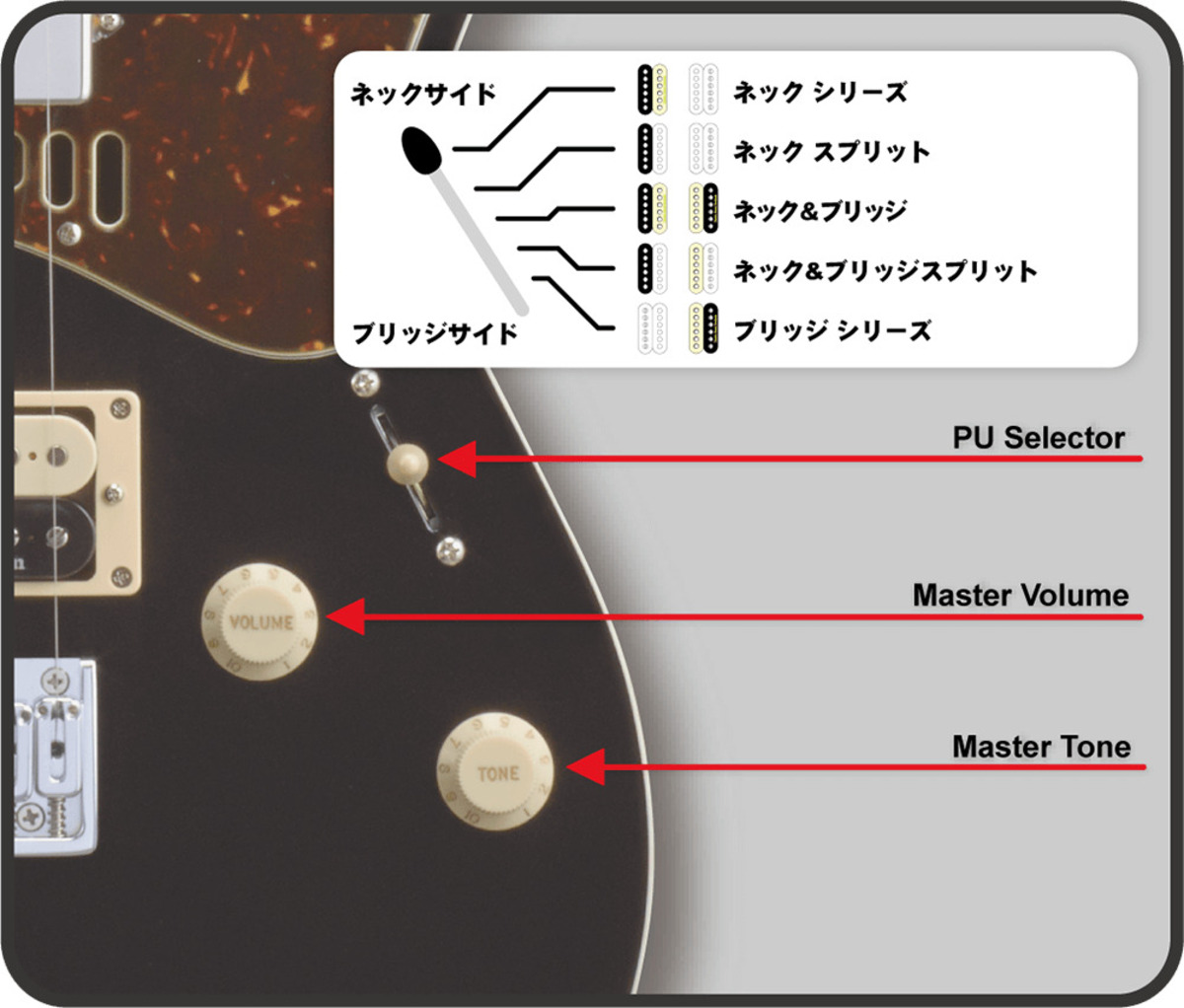 ESP THROBBER-STD｜革新の“Sound Reservoir”が生み出す新次元の生鳴り