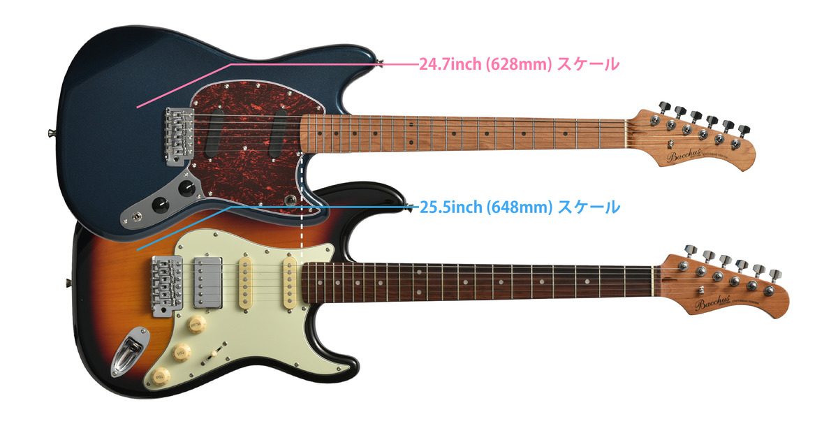 Bacchus BMS-1-RSM/M-TTPG｜伝統美と機能性を融合した“べっ甲