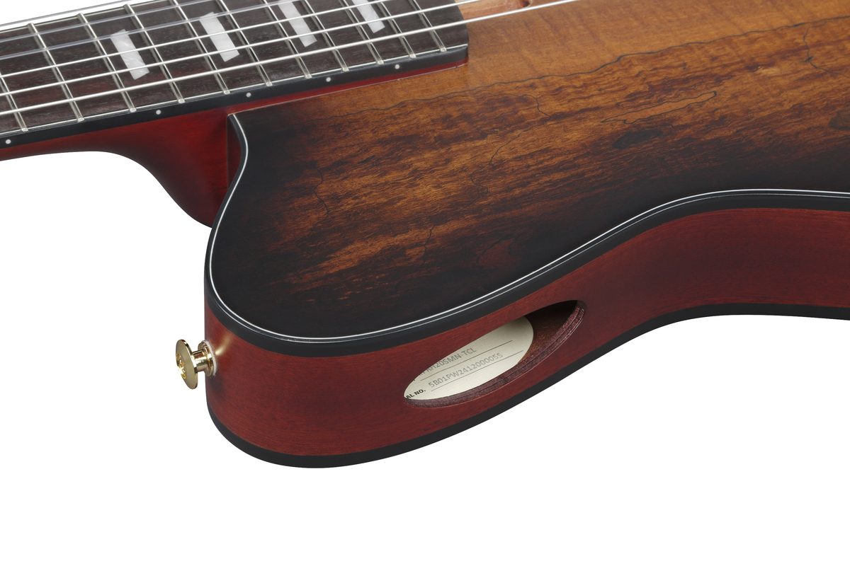Ibanez FRH20SMN-TCL｜スポルテッドメイプルの魅力 | ギタセレ（Guitar