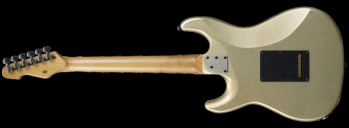 キターキター② ZO-3 ART ROCK Two-Heaven FERNANDES エレクトリックギター アンプ タイヤ・ホイール