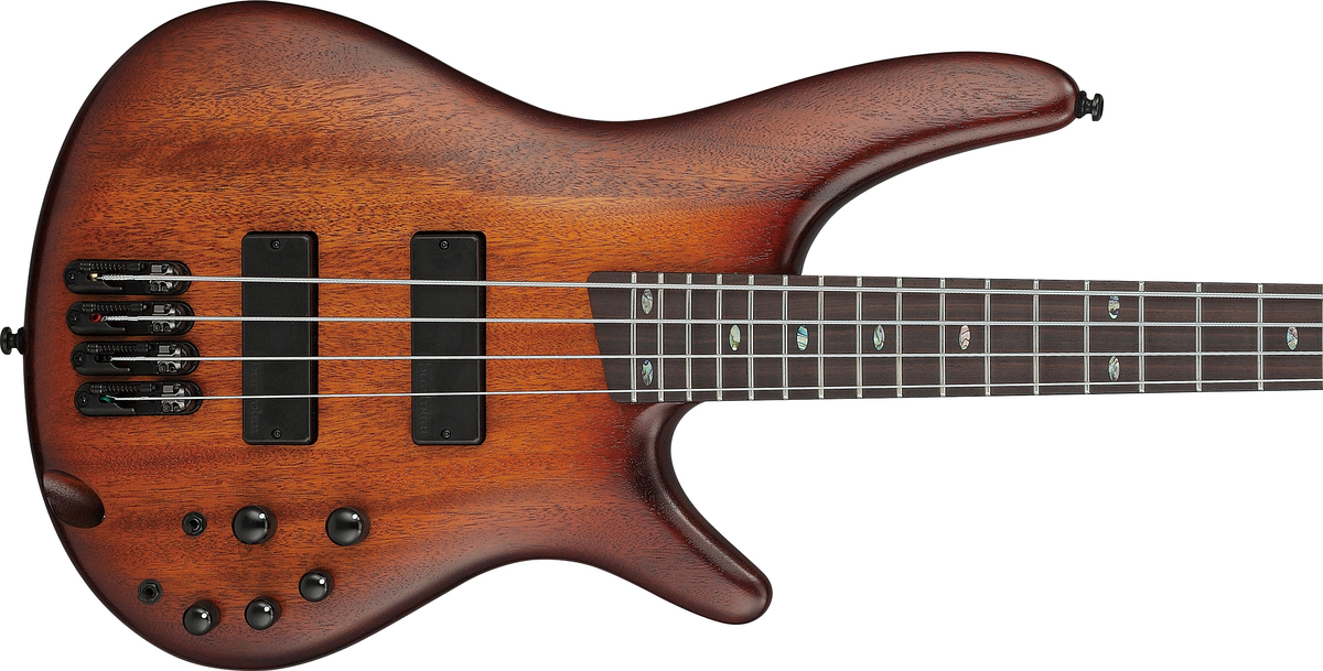 【年末価格　12/30まで！】Ibanez SR500 Ibanez Standard SR500N Electric Bass Guitar - Midnight Arctic
