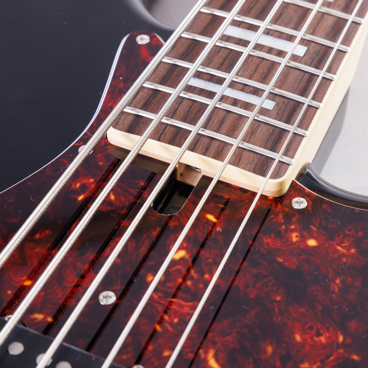 HISTORY HJB5V-Standard｜4弦からの持ち替えもスムーズな、現代の音楽