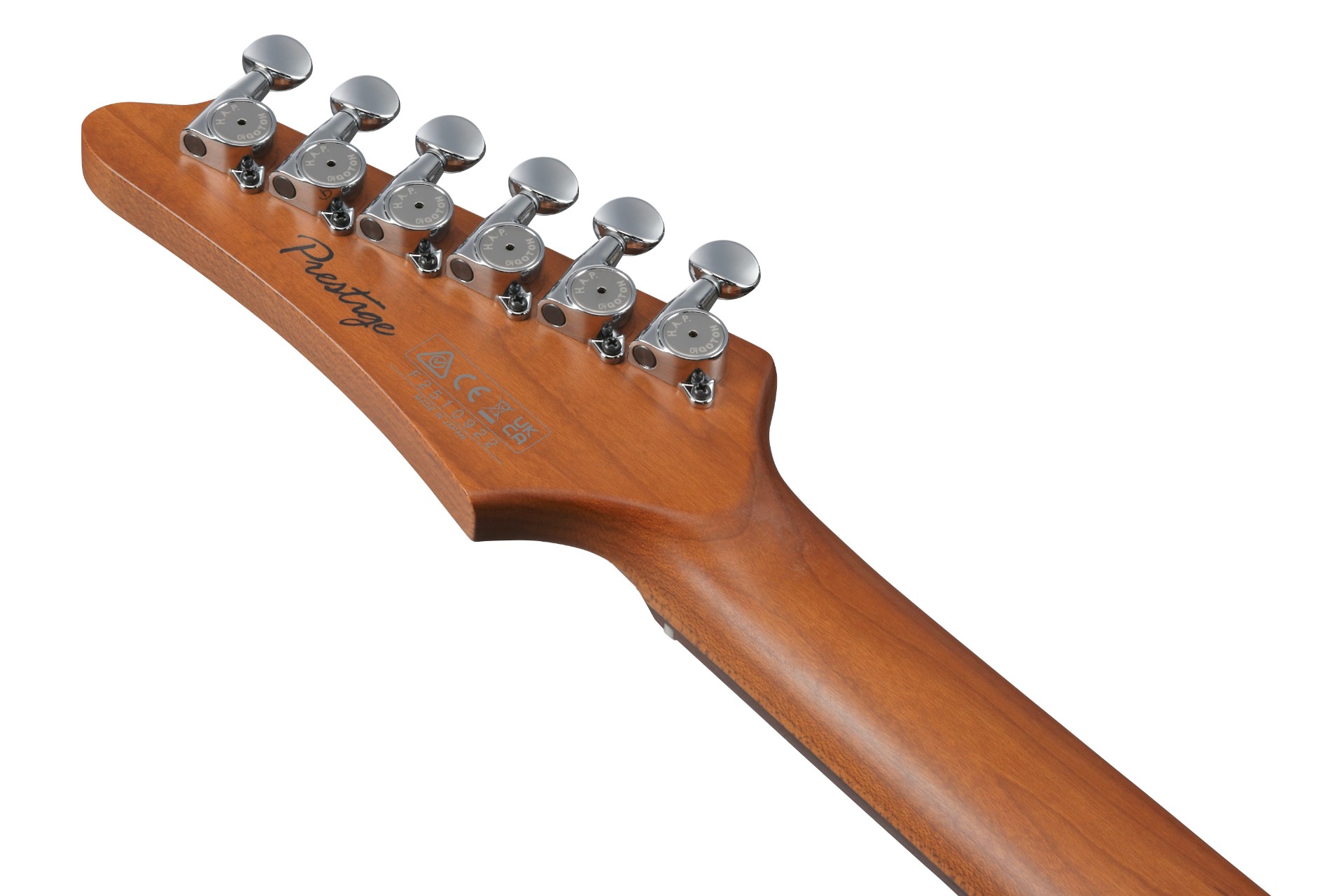 限定モデル】美しい和材タモと極限の演奏性!Ibanezから特別な 限定モデル】美しい和材タモと極限の演奏性!Ibanezから特別な