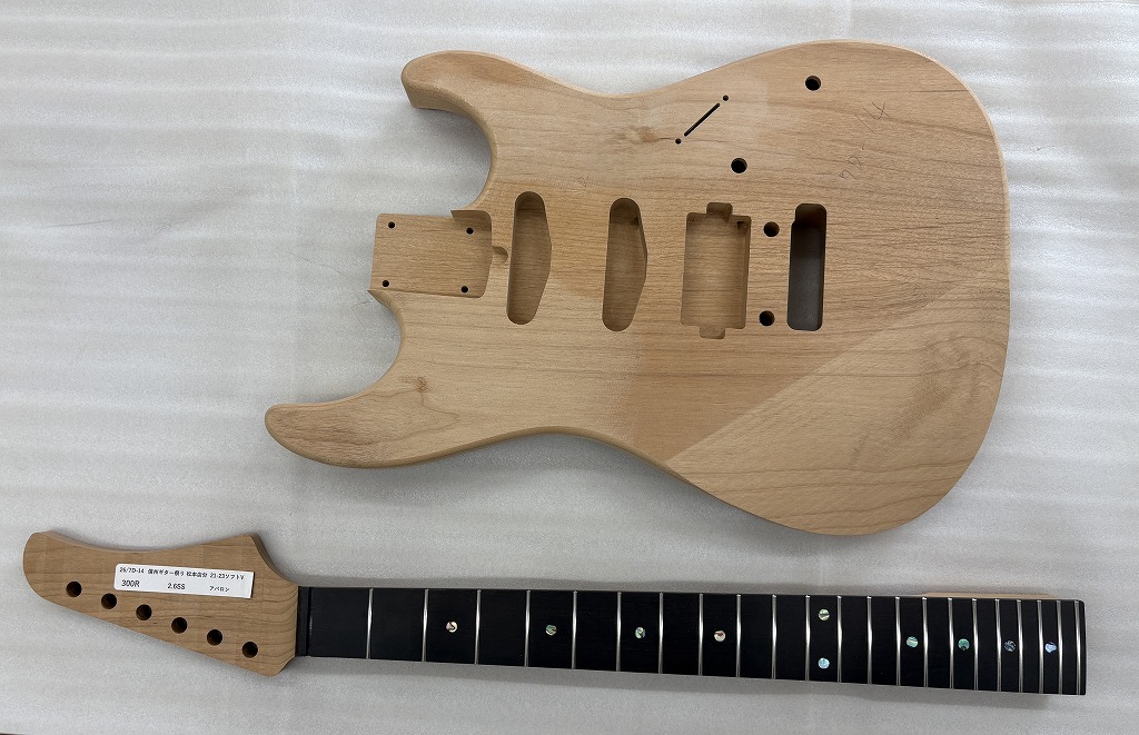 「演奏する人の人生に寄り添う道具」 T’s Guitars DST-Special22SSH | 信州ギター祭り2026