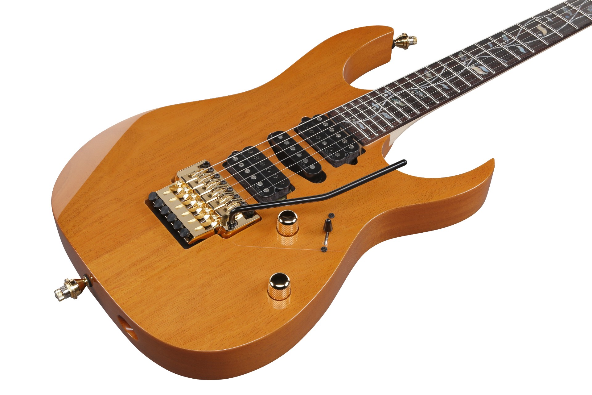 Ibanez】貴重なホンジュラス・マホガニーを採用した30周年限定モデル