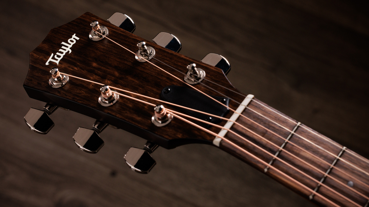 Taylor×島村楽器】Figured Urban Ashを用いたコラボ第二弾が登場――環境