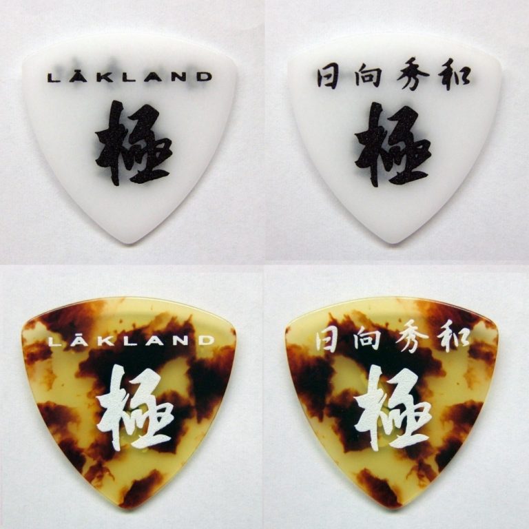 【ピック】ひなっち こと ベーシスト日向秀和氏のアーティストピックが登場！もちろん「極」文字デザイン♪