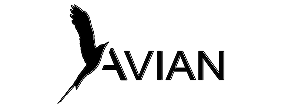 【アコースティックギター】手工ギター製作家マイケル・バシュキンの設計・監修によるギター　AVIAN登場！