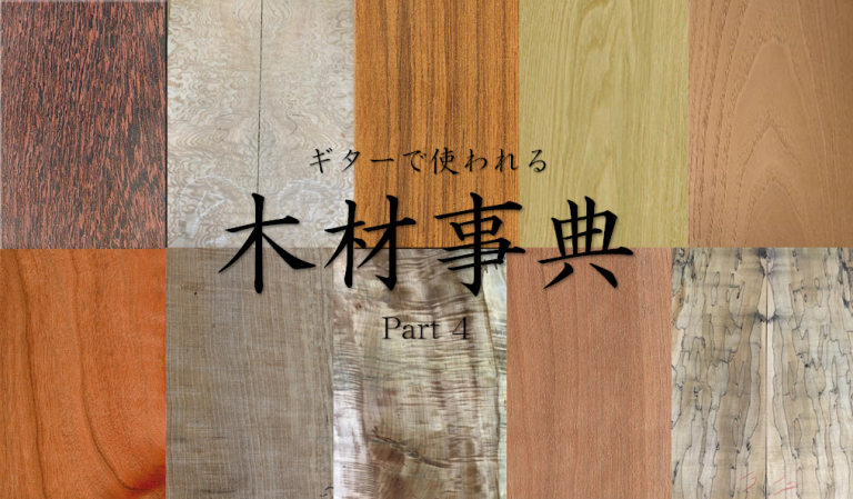 【今さら聞けない】ギターで使われる木材事典！　Part4　～クリはマロンじゃありません！?～