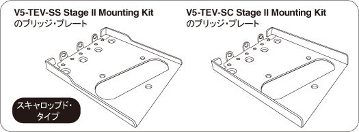 s-v5_tev_ss_stage_ii_fig