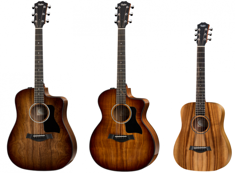 【アコースティックギター】Taylor トップにコア材を採用  Baby含む3モデル発売