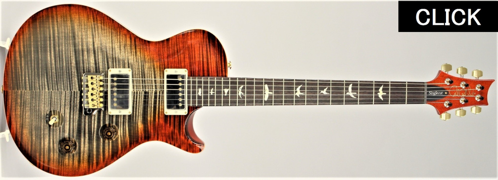 PRS タイプ エレキギター エレキギター】-PRS- ”Wood Library” 当社バイヤーによる選定