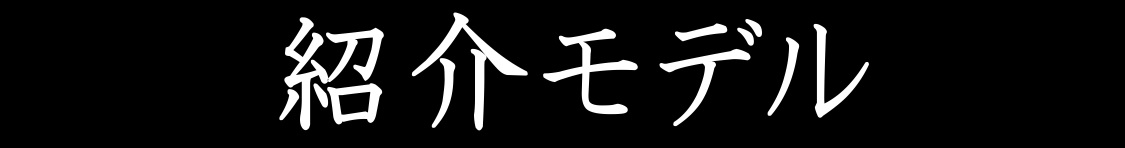 紹介モデル 一覧