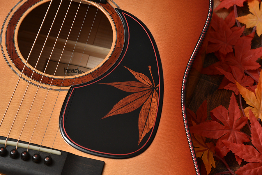 アコースティックギター】Headway HD-Autumn Leaves'21 & HF