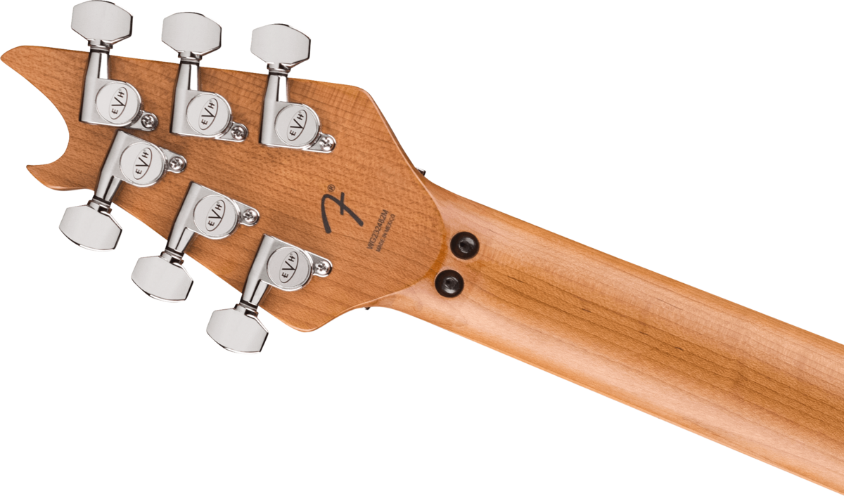 EVH Special Build Guitar Upgrade