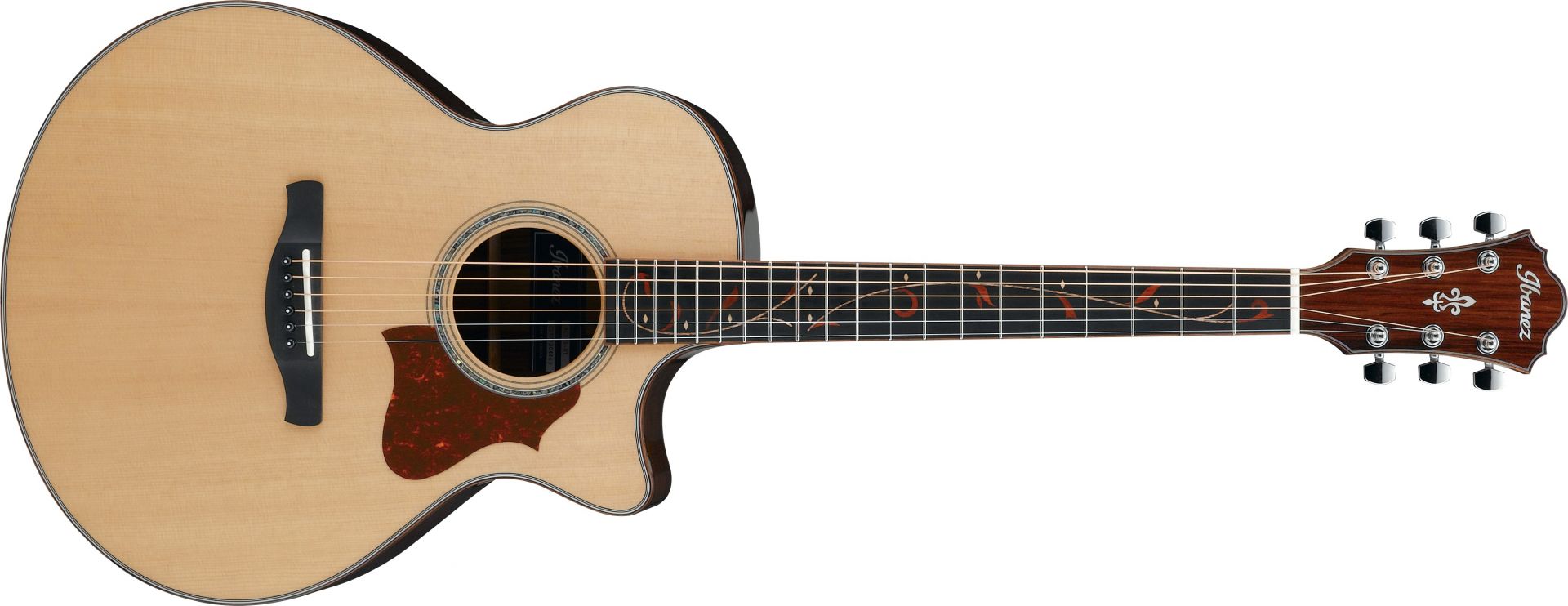 Ibanez AEL4512SE-NT-3T-01【 新品弦3セット付き】（エレアコ